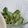 クック5CN0IN☆'s cooksnap of when they made ゴーヤと玉ねぎのシーチキンマヨサラダ.