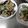 みきみきGZEQ☆'s cooksnap of when they made 　茄子とジャコの炒め物.