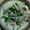 ymd88's cooksnap of when they made 鯖の水煮缶とニラもやしのニンニクマヨ炒め.
