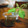 inyako's cooksnap of when they made しその実の味噌漬け！.