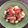 モコ２モコ太's cooksnap of when they made 塩サバとじゃがいものペペロンチーノ炒め.
