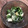 栗丸うさぎ's cooksnap of when they made すぐできる! 菜の花の卵マスタード和え.