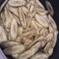 ユカtoマオマオ's cooksnap of when they made つゆだくなゴボウキンピラ・・.
