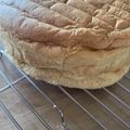 ぼーの28's cooksnap of when they made 究極！材料３つ！簡単スポンジケーキ☆.