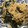 クックM6DK2O☆'s cooksnap of when they made 簡単★水切り不要！もやしとわかめのナムル.