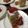 地図。's cooksnap of when they made 天板でいちごケーキ.