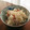 ともみん❤'s cooksnap of when they made 秋限定♪生落花生の炊き込みご飯.
