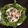 たろべちゃん's cooksnap of when they made 大根とツナのサラダ☆.