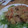 ★ぶらいあん☆'s cooksnap of when they made 『豆腐とエビのオイマヨ炒め』.