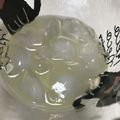 くーちゃんみっちゃん's cooksnap of when they made 簡単美味しいすだちジュース♪.