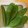 クック78R779☆'s cooksnap of when they made 絹さやえんどうの冷凍保存.