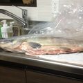 Nappuu's cooksnap of when they made 【基本】鮭の捌き方.