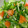 ☆☆☆MINT☆☆☆'s cooksnap of when they made 以外と美味しいピーマンの中華和え.