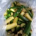 クックGGLXTL☆'s cooksnap of when they made やみつき！きゅうりの塩昆布和え.