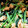 クック63UB4A☆'s cooksnap of when they made ほうれん草の卵炒め 簡単.