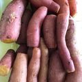 sachinosa's cooksnap of when they made 炊飯器でじっくり☆「ふかしイモ」.