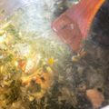 hiver0201's cooksnap of when they made かくれた人気者！中東のモロヘイヤスープ.
