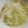 pegu0404's cooksnap of when they made 玉葱とセロリのマリネ～成城石井風～.