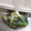 あたりめっこ's cooksnap of when they made 箸が止まらぬきゅうりの塩糀ナムル.