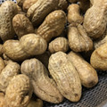 takatiho's cooksnap of when they made おおまさりの塩茹で（圧力鍋使用）.