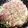 ♬あじさいのレシピ♬'s cooksnap of when they made 余り物活用！豆腐と豆苗のチャンプルー.