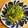 ボブナナ's cooksnap of when they made 簡単！お店の味！豆苗炒め.