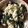 クックZ8J4H4☆'s cooksnap of when they made 豆腐とじゃこのわかめサラダ.