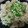クック61RW5R☆'s cooksnap of when they made お酒のつまみ☆モツの湯引き☆.