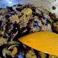 くっくkozue's cooksnap of when they made 簡単☆麻婆ナス.