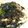 クックM6DK2O☆'s cooksnap of when they made 納豆冷やしうどん.