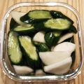 moco00moco's cooksnap of when they made キュウリと大根(蕪でもOK)の浅漬け.
