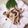 horseland's cooksnap of when they made キノコの煮浸し.