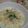 masakohママ's cooksnap of when they made ミルクリゾット（雑炊？？）.