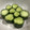 まぁさん。's cooksnap of when they made きゅうりのからし漬け.
