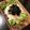 たろべちゃん's cooksnap of when they made ♪簡単♪すぐ出来る居酒屋大根サラダ.