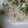 ほそにゃん♪'s cooksnap of when they made ＊炊飯器で簡単うまうま☆あさりのピラフ＊.