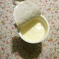 ブランディ's cooksnap of when they made 簡単、ヨーグルトの混ぜ方。.