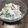 くるくるくるめっこ's cooksnap of when they made 小松菜とひじきとツナのサラダ 超簡単！.