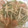 おナスちゃん☆★'s cooksnap of when they made もやしとソーセージのオイスターソース炒め.