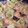 wwろいず913ww's cooksnap of when they made 味噌のコク！鮭のちゃんちゃん焼き.