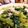 クックN6AI6O☆'s cooksnap of when they made ほうれんそうのオイゴマ和え.