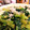 クックN6AI6O☆'s cooksnap of when they made ほうれんそうのオイゴマ和え.