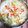 りょーこ0520's cooksnap of when they made にんじんキャベツのしそサラダ.