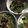 クックZU168P☆'s cooksnap of when they made ☆超簡単☆切って混ぜるだけの水菜サラダ☆.