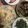 ﾌﾞﾚﾝﾀﾞ's cooksnap of when they made 白菜と新玉ねぎのサラダ.