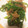 クック5E0FE9☆'s cooksnap of when they made 簡単！ピーマンとじゃこのオイスター炒め♪.