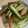 スノーディッシュ's cooksnap of when they made 赤魚フィレで南蛮漬け.