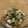 ねみねみ's cooksnap of when they made 豆苗と豆腐の和え物.
