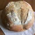 はつた's cooksnap of when they made 100均のタッパーで簡単カンパーニュ.