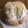 はつた's cooksnap of when they made 100均のタッパーで簡単カンパーニュ.